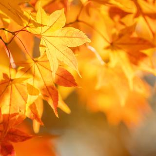 ZAJĘCIA W ŚWIETLICY